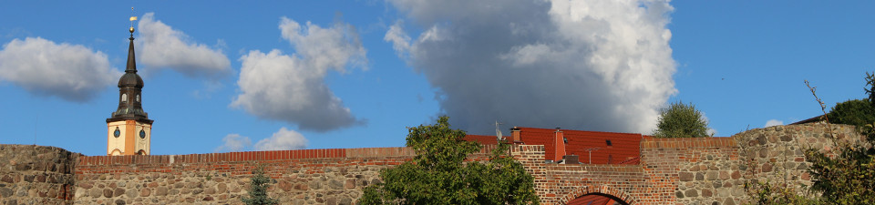 EFG-Test